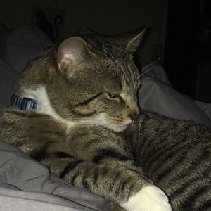 Meet your Posher, Kim